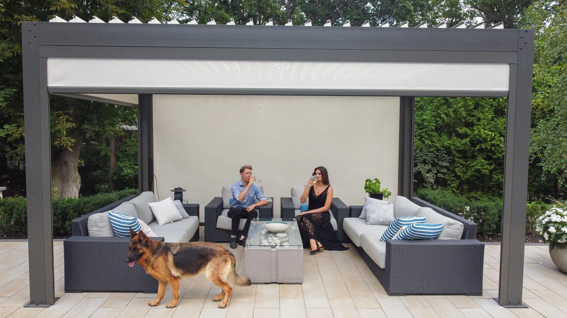 10 x 12 metal pergola photo # 107