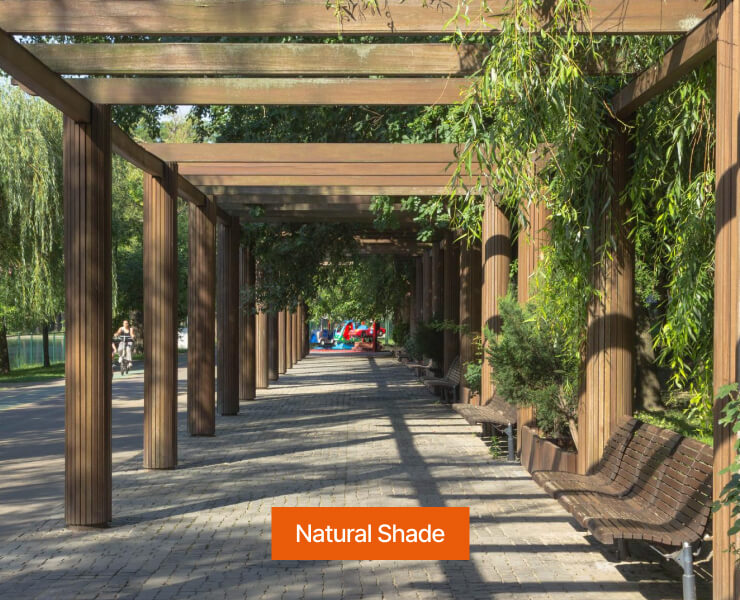 Natural Shade #1317