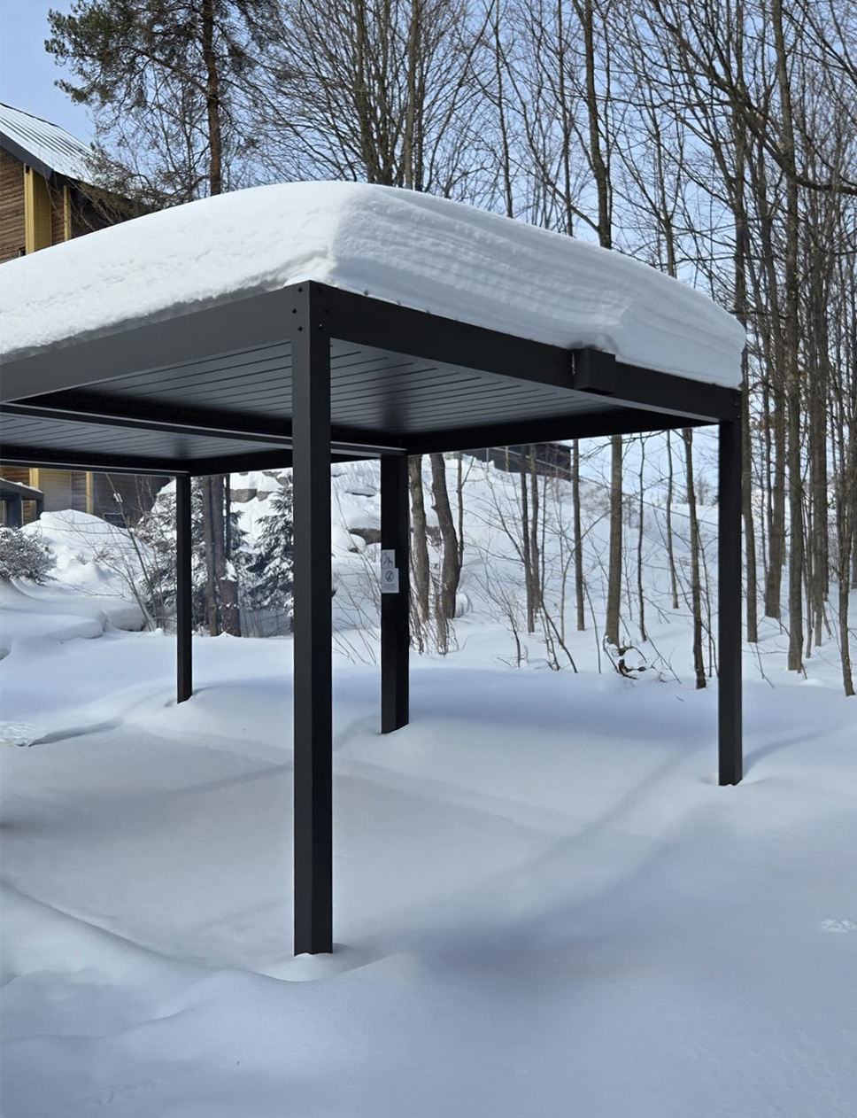 pergola snow #1562